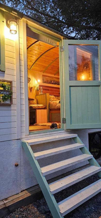 Cobblers Pet Friendly * Dallington (Northamptonshire)